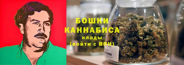 индика Богданович